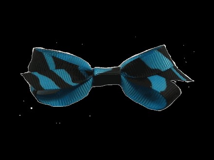 Turquoise Zebra Bow Small
